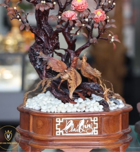 CÂY CỔ THỤ CHIM PHỤNG TRẦM HƯƠNG