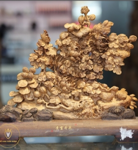 TIỂU CẢNH CÂY CỔ THỤ TRẦM HƯƠNG